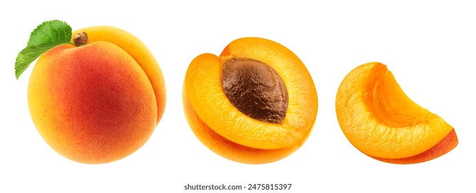 Set of whole apricot, half and slice of apricot isolated on a white background.