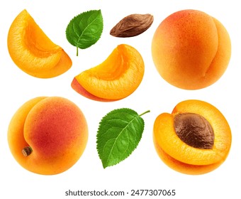 Set of whole apricots, halves and apricot slices with leaves isolated on a white background.