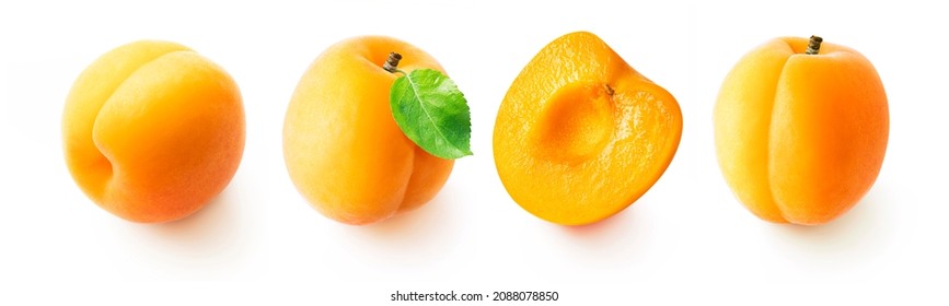 Set of whole, half, apricot with leaf. Fresh apricots collection isolated on white background. - Shutterstock ID 2088078850