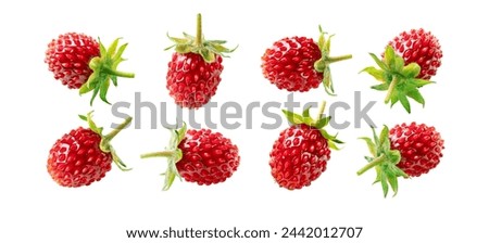 Set of wild strawberry isolated on white background.