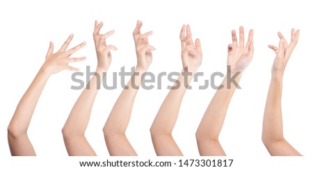 
Set of woman hand isolated on white background.