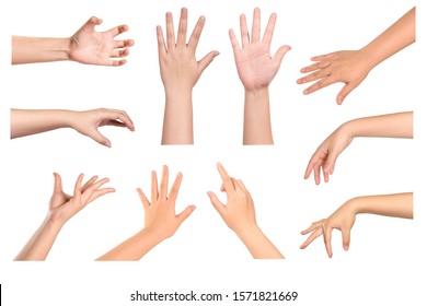 Set of Woman hands gestures isolated on white background.