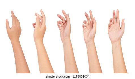 Set of woman hands isolated on white background.