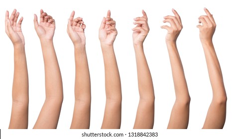 Набор женских рук, изолированных на белом фоне.