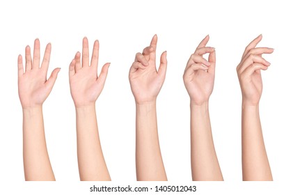Set of woman hands isolated on white background. - Shutterstock ID 1405012043