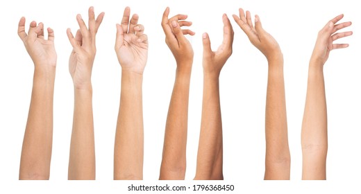 Set of woman hands isolated on white background. Hand action - Shutterstock ID 1796368450