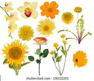 Similar Images, Stock Photos & Vectors of colorful flowers with leaves