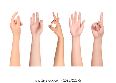 Set of Young woman hands isolated on white background. - Shutterstock ID 1595722375