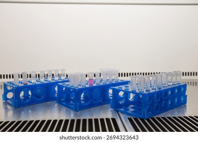 Sets of Eppendorf tubes in racks stand on a table in the sterile conditions of a purged biological safety cabinet.