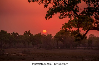 The Setting Sun In Bandhavgarh National Park.