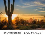 The setting sun casts a golden glow over Safford Peak in Saguaro National Park Tuscon Mountain District. Near Tucson, Arizona.