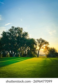 The setting sun casts long, dramatic shadows across a vibrant green lawn on a golf course, illuminating the majestic trees at the horizon with a warm, golden glow under a brilliant blue sky.