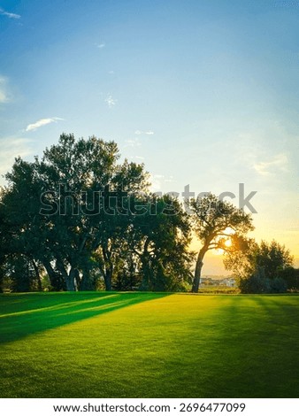 The setting sun casts long, dramatic shadows across a vibrant green lawn on a golf course, illuminating the majestic trees at the horizon with a warm, golden glow under a brilliant blue sky.