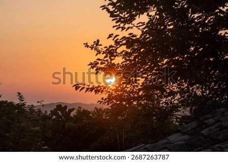 The setting sun creates a warm orange glow in the evening sky, partially obscured by the dark silhouette of tree leaves. A tranquil, atmospheric, and peaceful nature background.