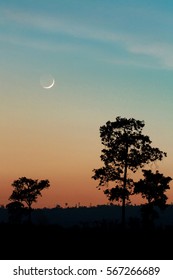 The setting sun and the moon.
