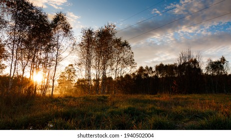The setting sun over the meadow.