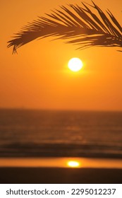 setting sun over the ocean