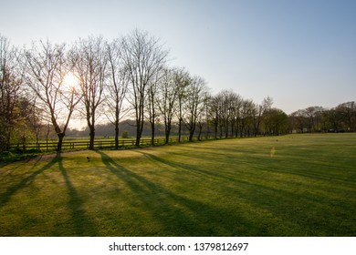 Setting Sun Shining Through Trees In Pollok Park, Glasgow