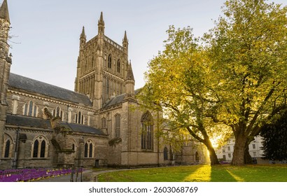 Setting sun shining through trees,next to the famous historic building,and grass covered area,opposite the city high street and Cathedral Square.