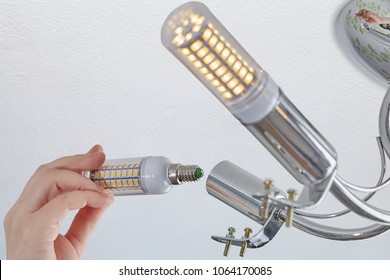 Setts Of LED Corn Lamp In A Room Lighting Fixture.