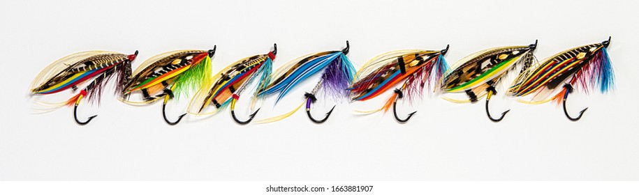 Seven beautiful and colourful fly fishing lures in a lineup on white - Powered by Shutterstock