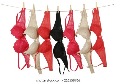 seven bras on clothesline isolated on white