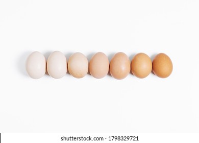 Seven eggs are laid in row white background  Eggs are arranged by color from the darkest to the lightest  Color gradient  Ingredient for omelettes  Farm eggs  Eggs different colors 