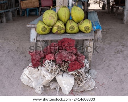 Seven freshly picked young coconut for sale at a beach stall stacked on a wooden table over a group of scarlet coral reefs and white rocks.