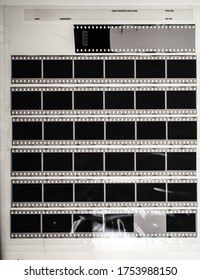 Sieben lange und leere 35-mm-Filmstreifen auf weißem Plastikhellbrett hinter Schutzfolie.

