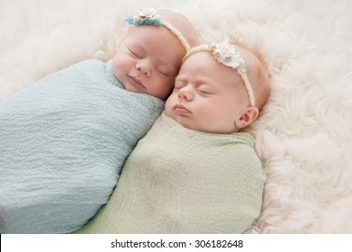 Twins Baby Images Stock Photos Vectors Shutterstock