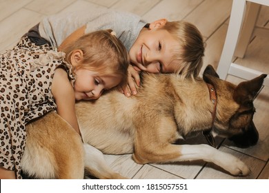 A Seven Year Old Boy And A Three Year Old Girl Play With Their Dog In The Home Kitchen. Warm Light. Children And Pet. High Quality Photo