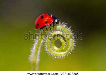 am Dill naschen Umwelt