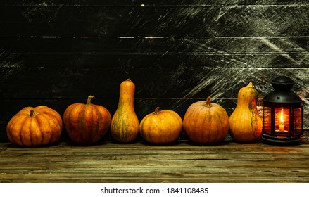 Several Assorted Small Pumpkins Stand In A Row Against A Dark Background Next To A Lighted Lantern