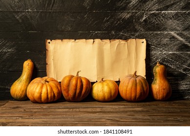 Several Assorted Small Pumpkins Stand In A Row Against The Background Of A Torn Yellowed Scroll Of Paper With Space For Text