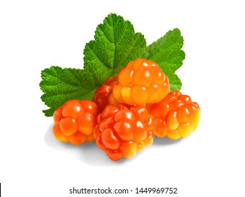 Several berries of cloudberries with a leaf isolated on a white background with clipping paths with shadow and without shadow