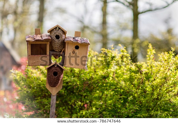 Several Birdhouses Bird Feeder On Stick Stock Photo Edit Now