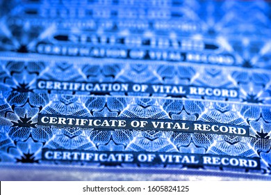 Several Certificate Of Vital Records For Birth