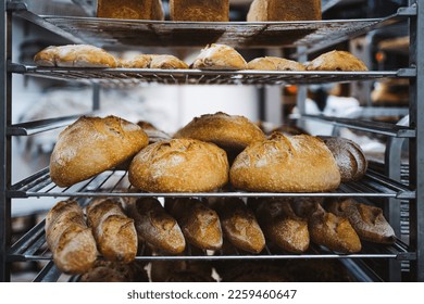 Several crusty bread pieces cooling in metal rack in artisan bakery - Powered by Shutterstock