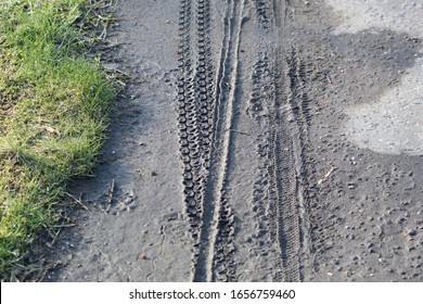 Several Different Bicycle Tyre Tracks on the Muddy Edge of a Cycle Path with Turf Grass on the Other Side