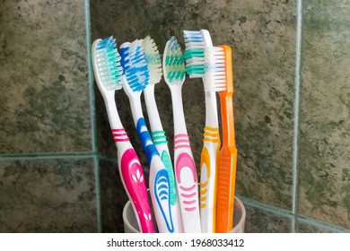Several different toothbrushes in a stand on a background of wall in bathroom covered with green tile 