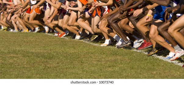 Several dozen atheletes at the starting line of a cross country race