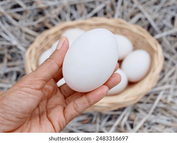 Several duck eggs were placed in a wicker basket, and a hand was holding the duck eggs on a pile of straw. They were big duck eggs, and they looked very delicious. - Powered by Shutterstock