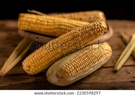 Several ears of corn Zea mays on rustic wooden table