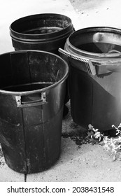 Several Empty Garbage Cans At The End Of The Driveway