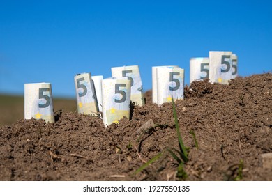 Several euro bills stuck in precious farmland. The demand for land is increasing worldwide and the purchase price for arable land has increased by an average of 187 percent over the past few years.  - Shutterstock ID 1927550135