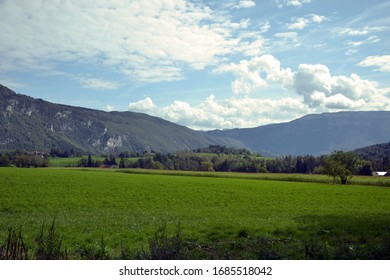 Several fields, with one with corn. There is also forets, and big mountains on background. It is the french Alps.