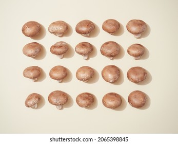 several fresh portobello mushrooms, agaricus bisporus, arranged in rows in a symmetrical creative composition. Top view, isolated on a color background.