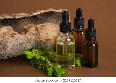 Several Glass Dropper Bottles With Serum Or Oil, Bark And Twig Of Spruce With Young Shoots, Medicinal Properties Of Pine Needles Concept