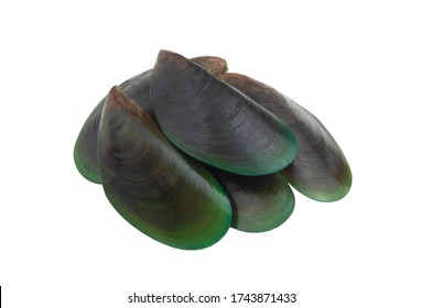 Several green mussels isolated on white background