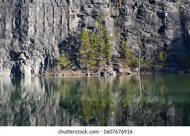 Several Green Trees With Rocks Surrounding And Water Below In Greenway Farms, Tennessee